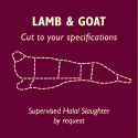 Lamb & Goat - Half & Whole, Halal & Custom