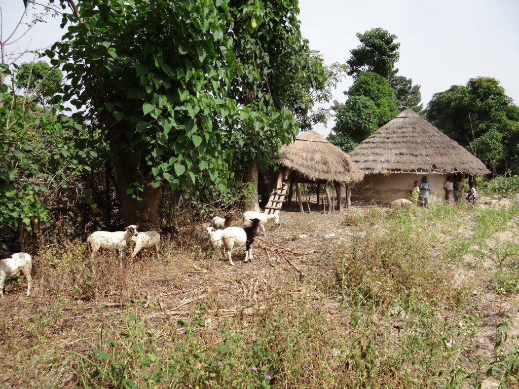 Bissikirima, village near Dabola Bissikirima, village near Dabola