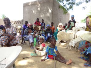 Women gathering at Niono, Mali Women gathering at Niono, Mali