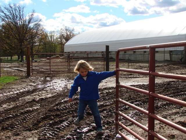 Helping with the gate Helping with the gate