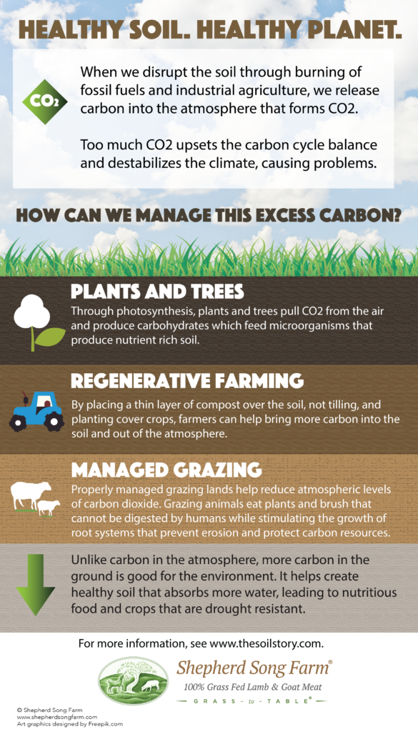 Healthy Soil Infographic