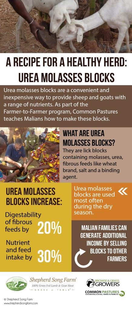 Molasses Nutrition Blocks