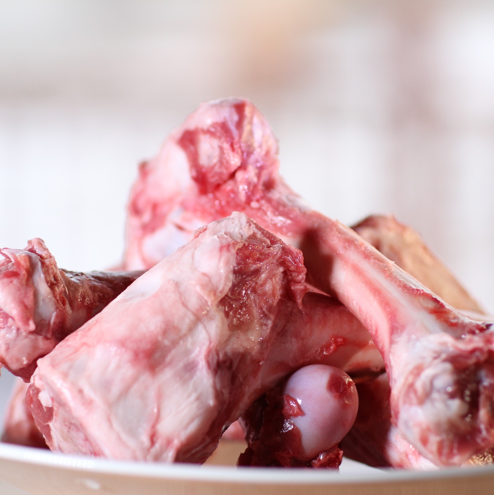 lamb bones ok for dogs