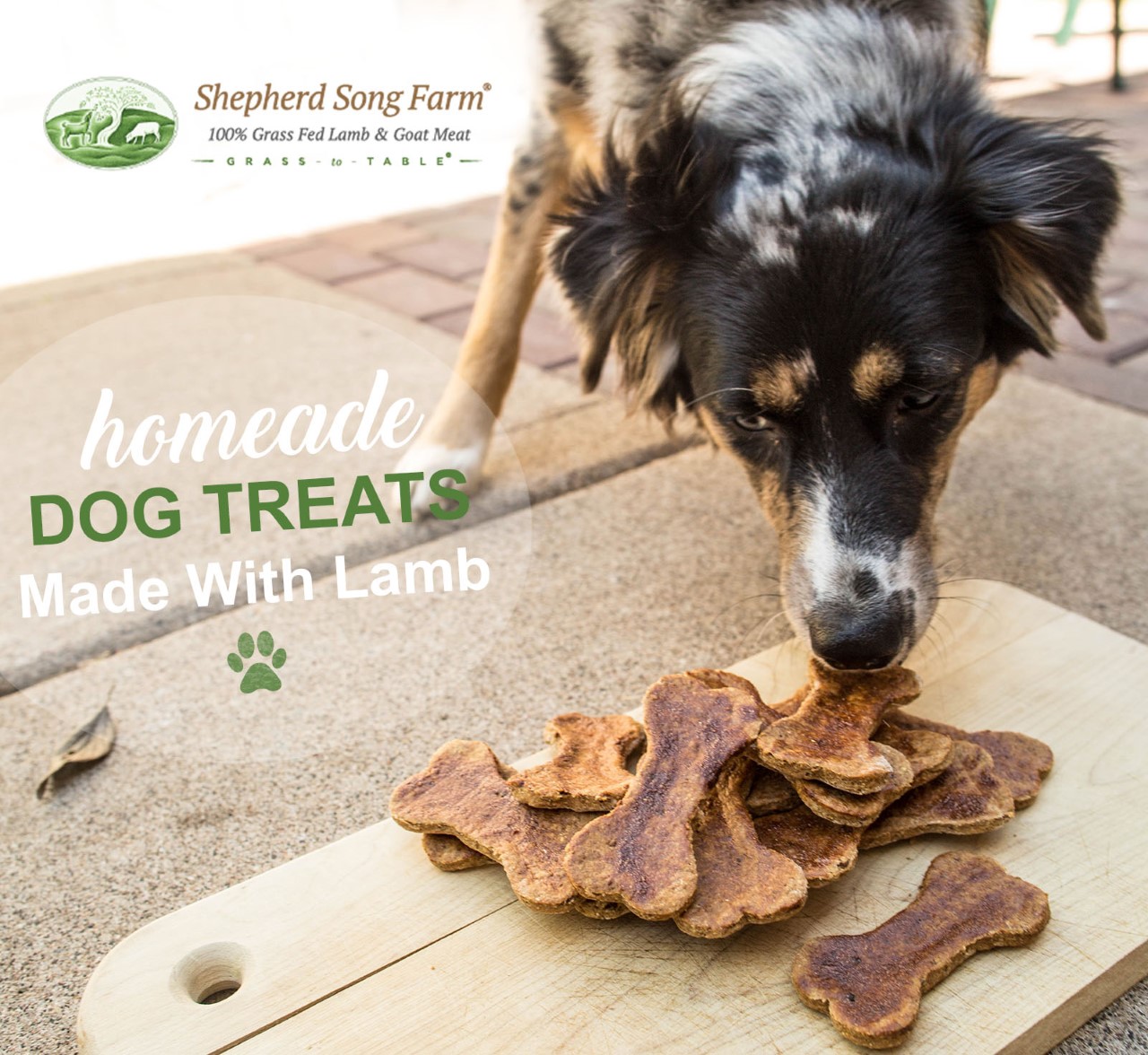 Baked Liver Treats For Dogs Recipe Baked Liver Treats For Dogs Recipe