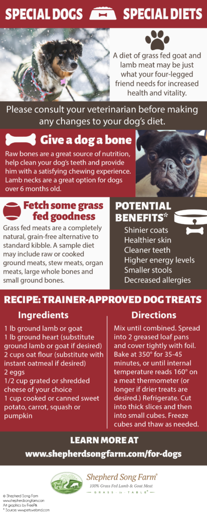 all natural dog treats from Shepherd Song Farm
