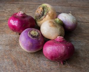 Scarlet, gold and purple top turnips samples