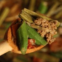 Okra Moringa stew