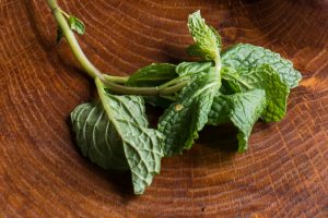 fresh mint 