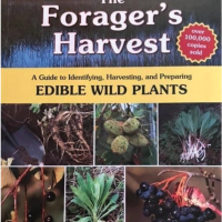 Forager's Harvest by Saumuel Thayer