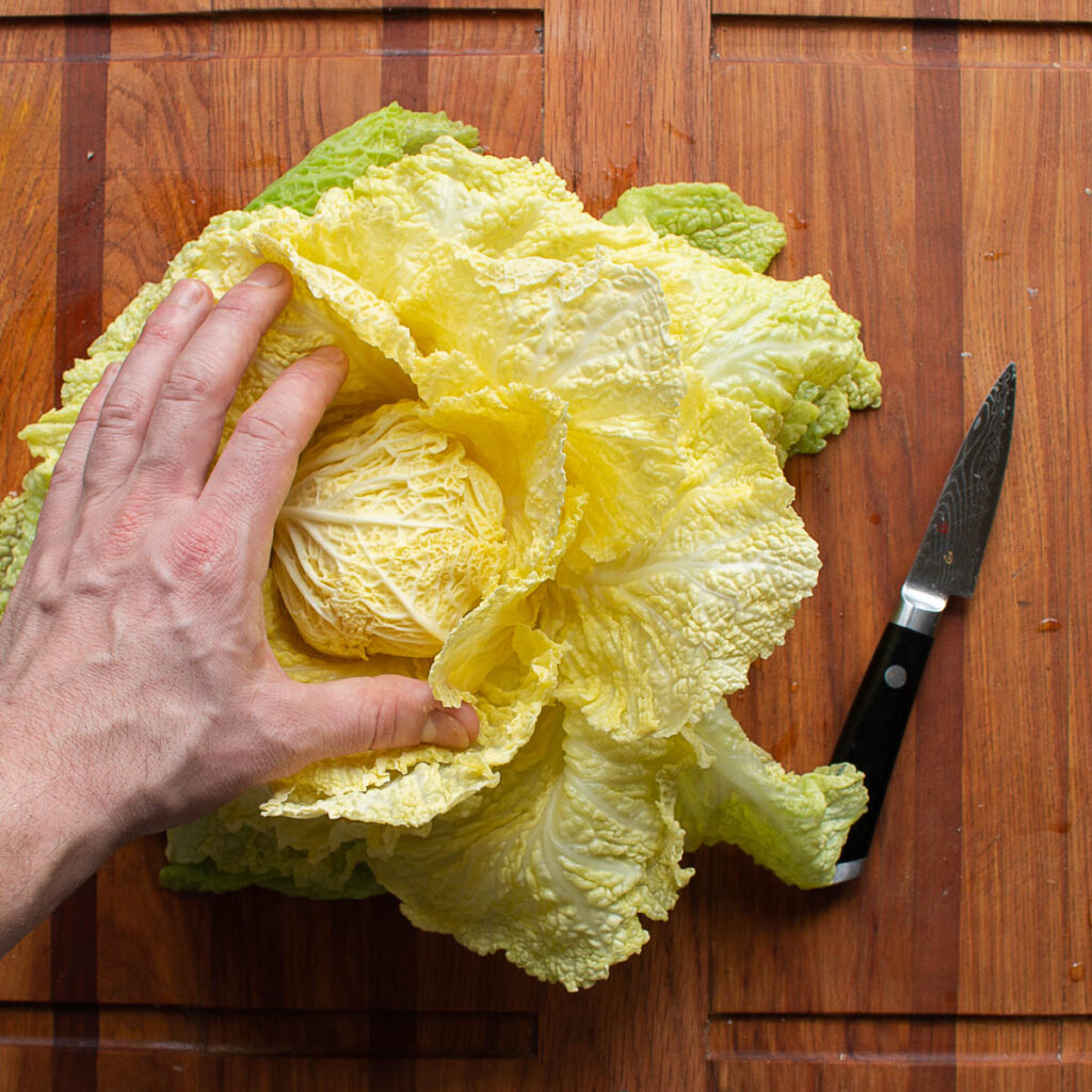 Cabbage stuffed with Lamb and Black Walnuts