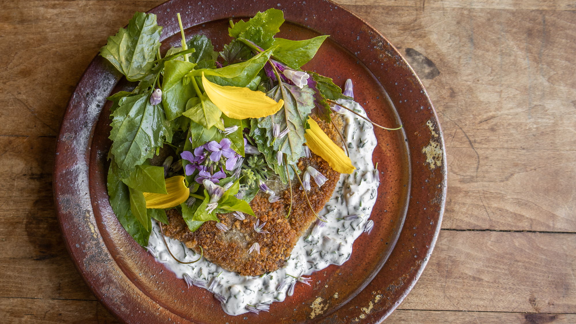 Lamb Milanese with lambs quarters salad and pickled ramp aioli