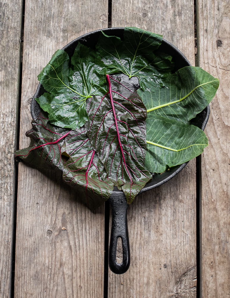 Lining a pan with foraged leaves to make cornbread