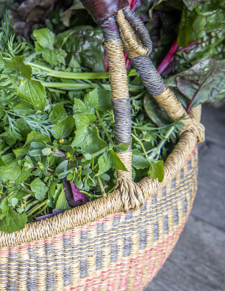 Galinsoga, purslane, burgundy amaranth and chard
