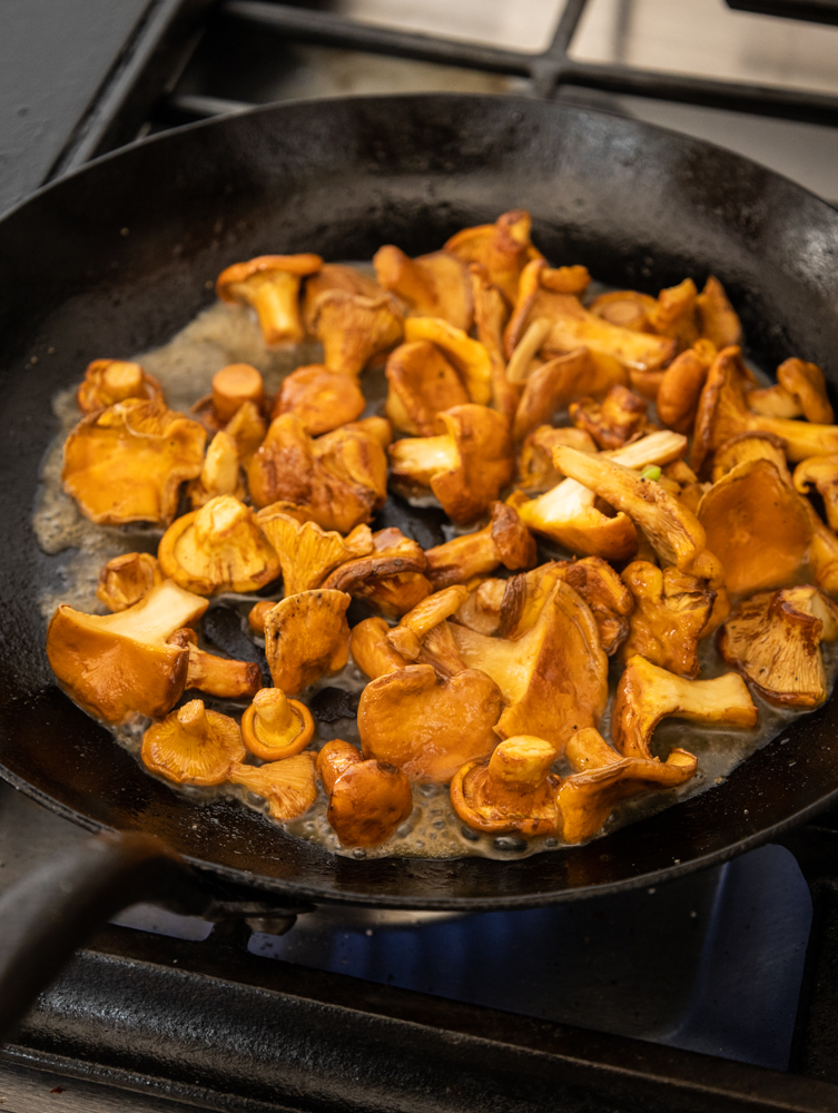 cooking foraged chanterelle mushrooms